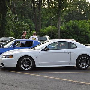 Car Shows 2010
