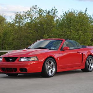 2010 Pics of the Cobra