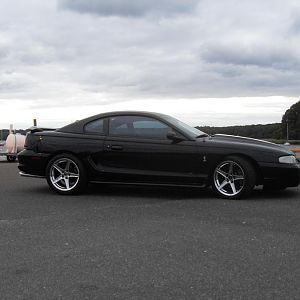 97 cobra