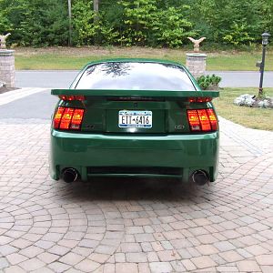 My Stangs