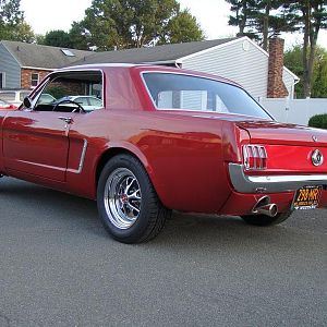 1965 Mustang - Rosie's Love