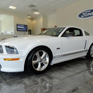 The newest addition 2007 Shelby GT