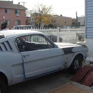 My mustang