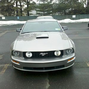 General Pictures