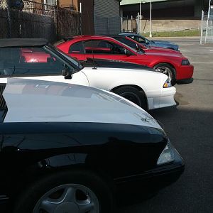 Toys for Tots Car Show Bx NY 9/15/12