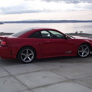 My NEW Saleen