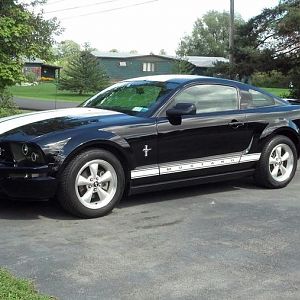 my mustang