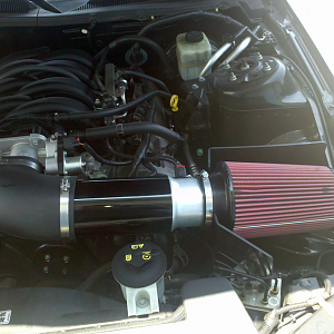 my stang