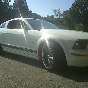 stang gt