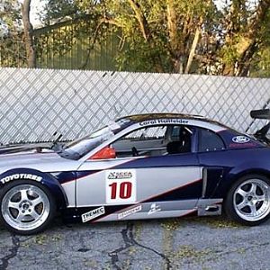 Tiger Racing Mustang