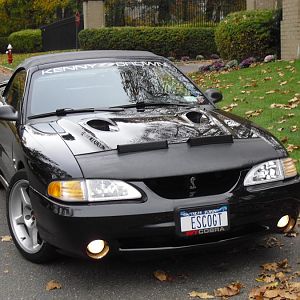 1997 Mustang Cobra SVT