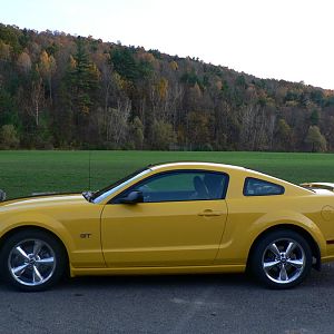 Fall Pictures