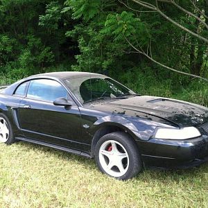 2000 GT