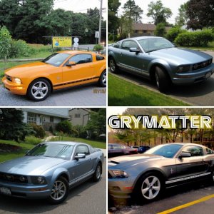 Frank Pomata's Mustangs