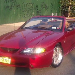 My 96 vert