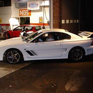 Mustang