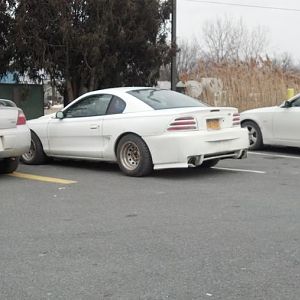 Mustangs
