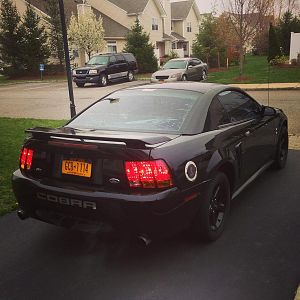 My cobra