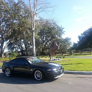 99 PONY GT
