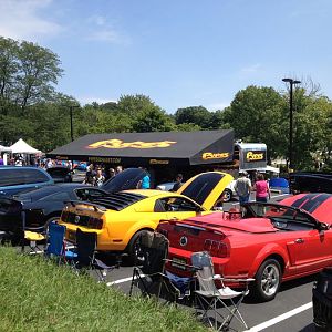 American Muscle Show 2013