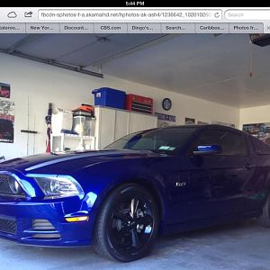 My Mustang