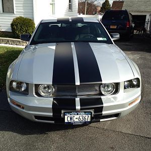 Getting ready to hide away for winter!