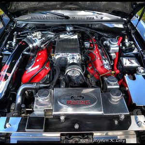 New stang in the stable