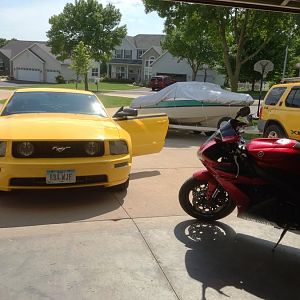 06 GT Screaming Yellow