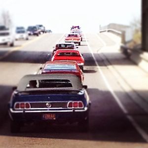 West Herr Ford Mustang 50th Anniversary Show