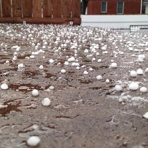 Hilton Apple Fest 2014