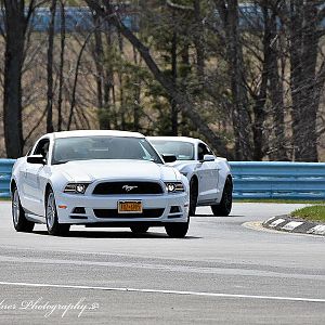 STANG SUMMER OF 2015