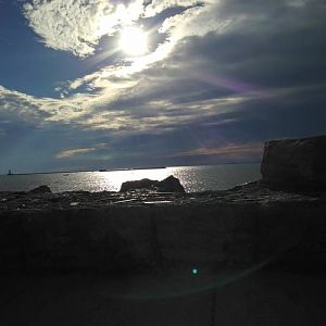 Forest Lawn and Inner Harbour 2015