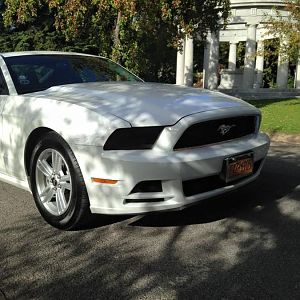 Winters Pond  and Awald Pumpkin patch