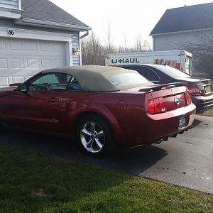 MY Mustang