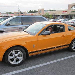 My first mustang.