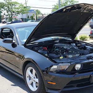 2010 GT