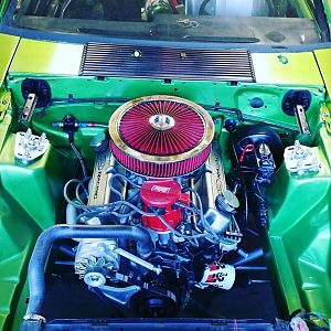 1979 fox