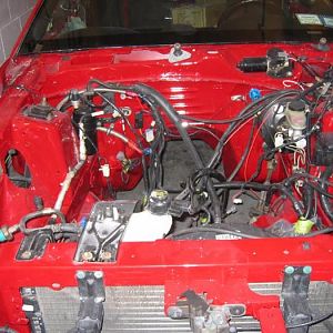 BigRedPaint 11