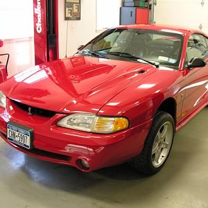 BigRedPaint 22