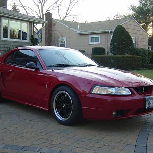 my stang2