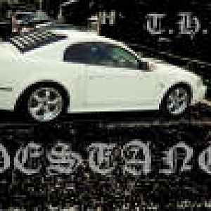 th 2000mustanggt012 2 1