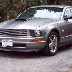 Mustang 2