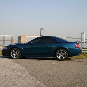 IMG 9494