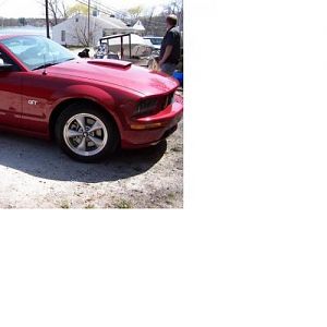 mymustang1