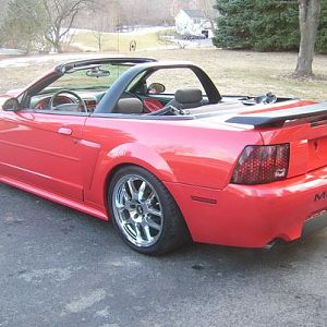 mustang