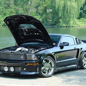 2005 Mustang Hood (92)
