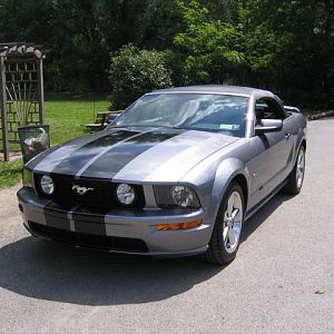 mustang