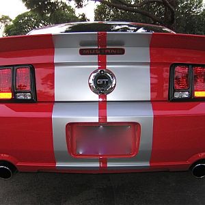 Whaletail