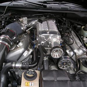 P1010147