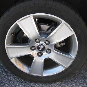 IMG 5546